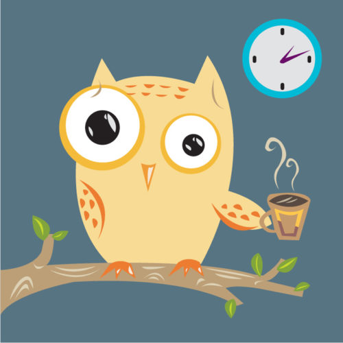Owl holding a coffee